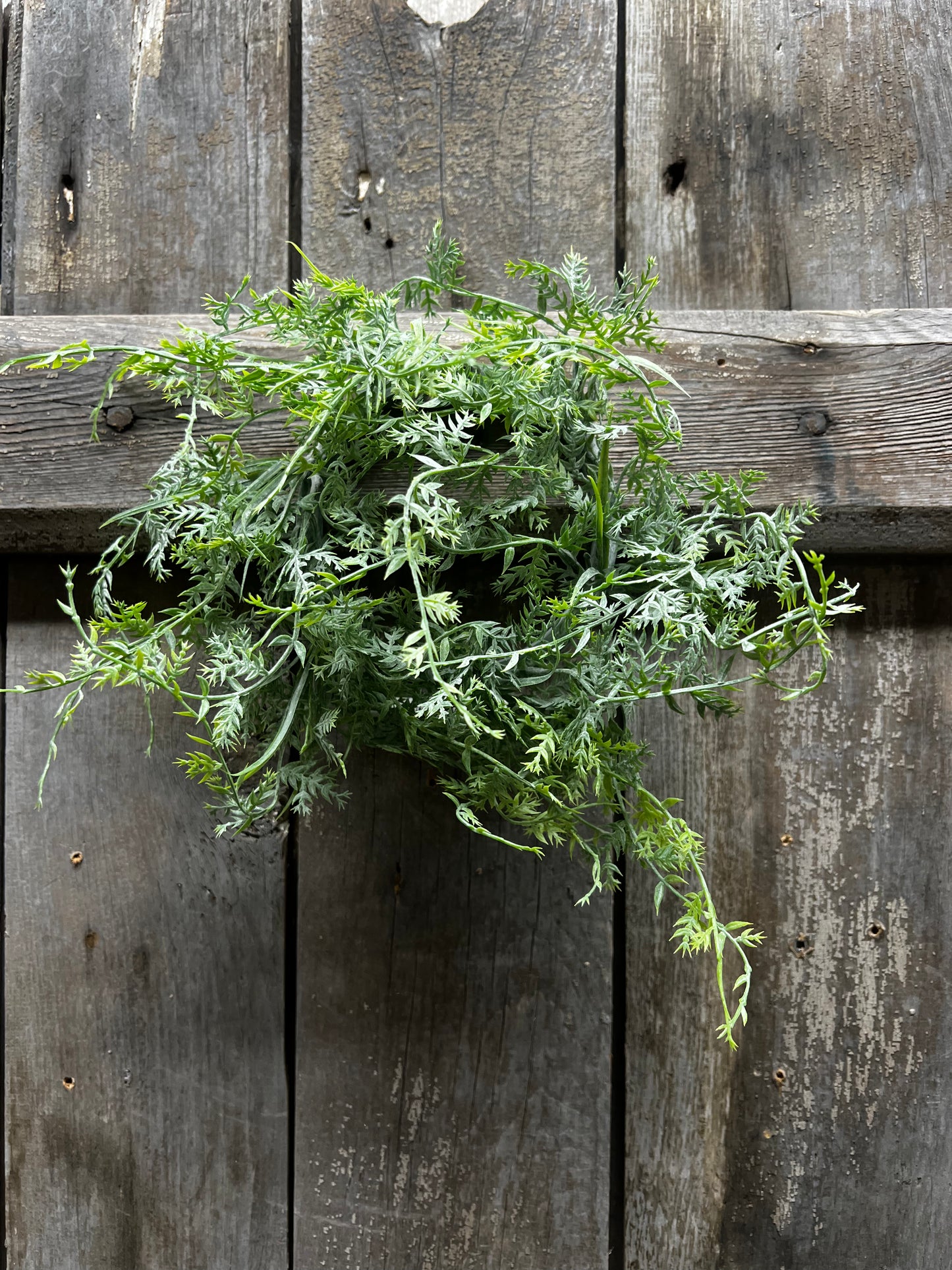 Candle Ring, 3.5", SMALL DUSTY FERN