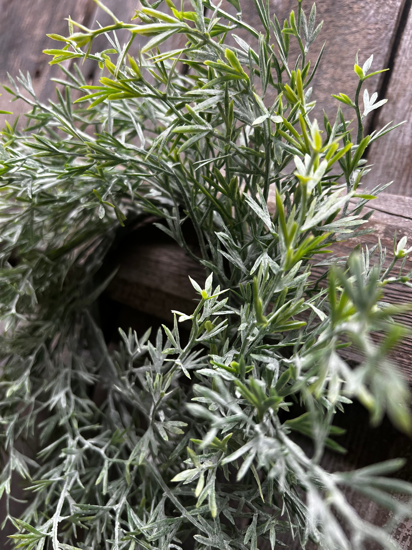Candle Ring, 3.5", LARGE DUSTY FERN