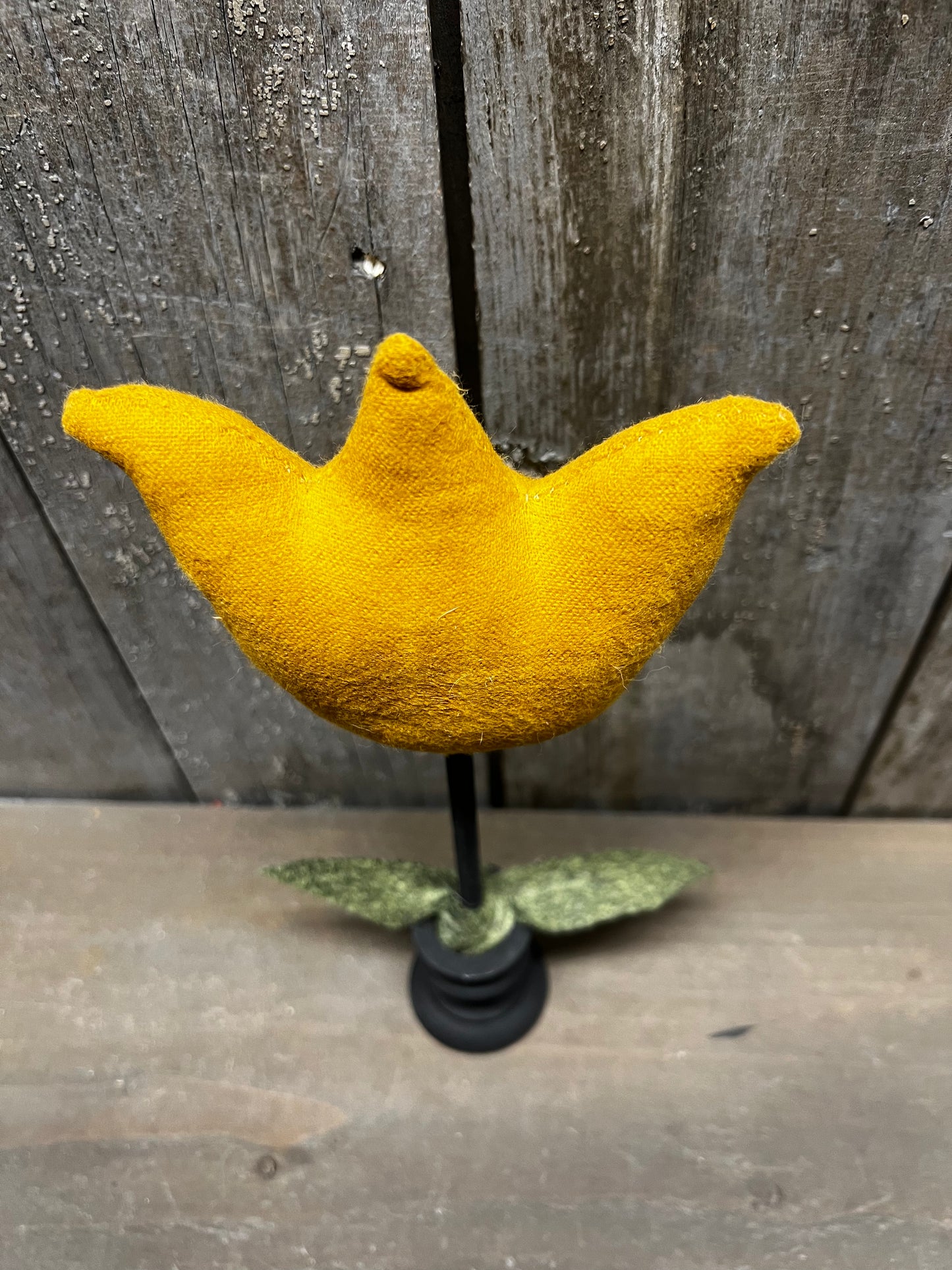 TULIP, 9", Assorted
