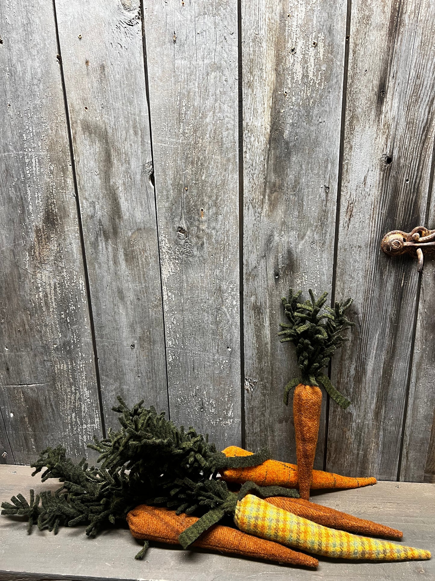 Carrots, WOOL