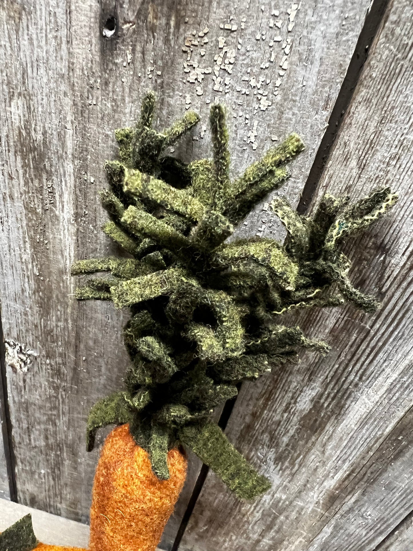 Carrots, WOOL