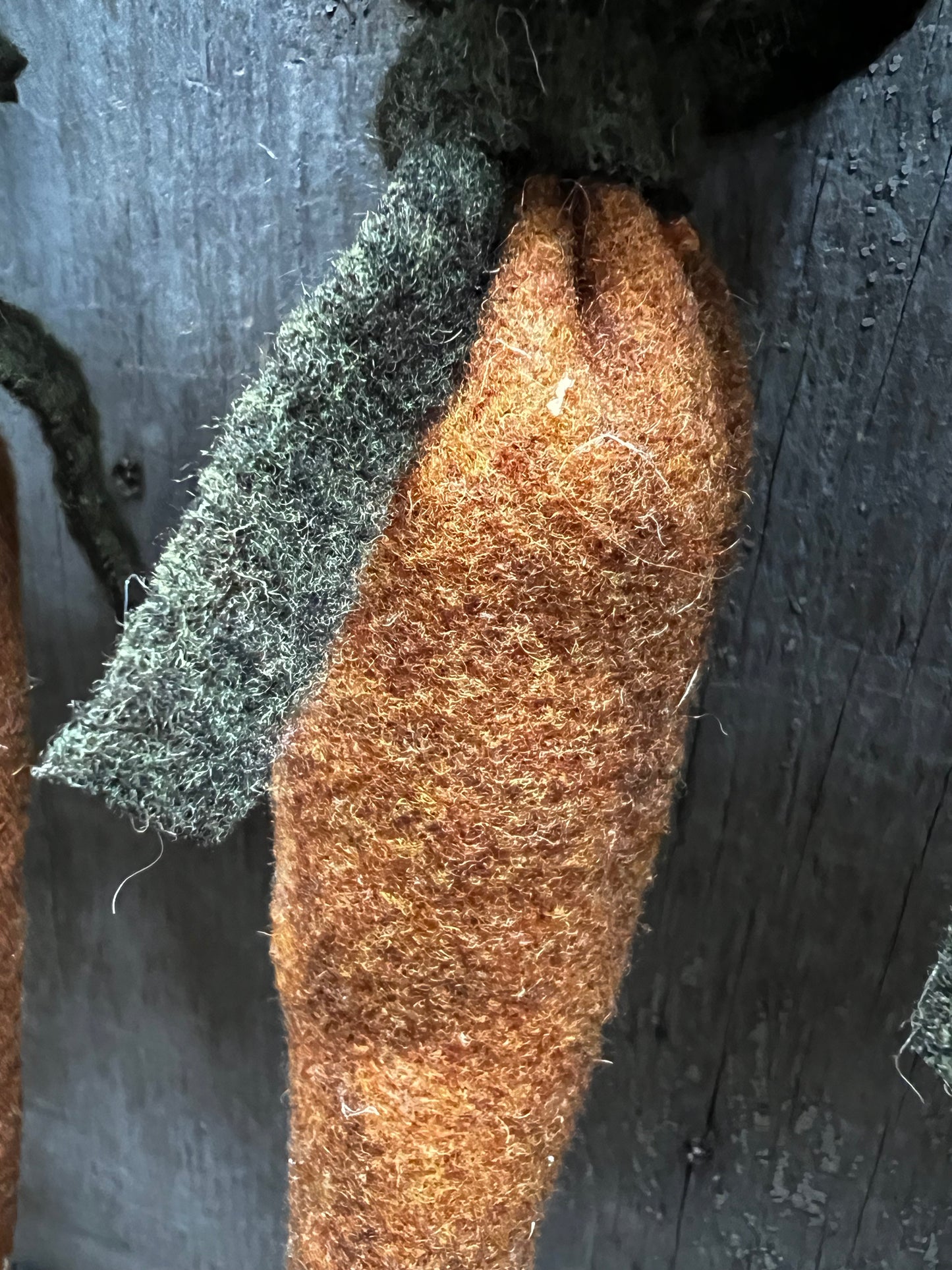 Carrots, WOOL