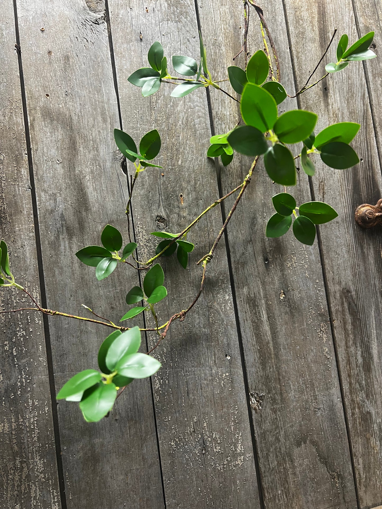 Branch, 48", LEMON LEAF
