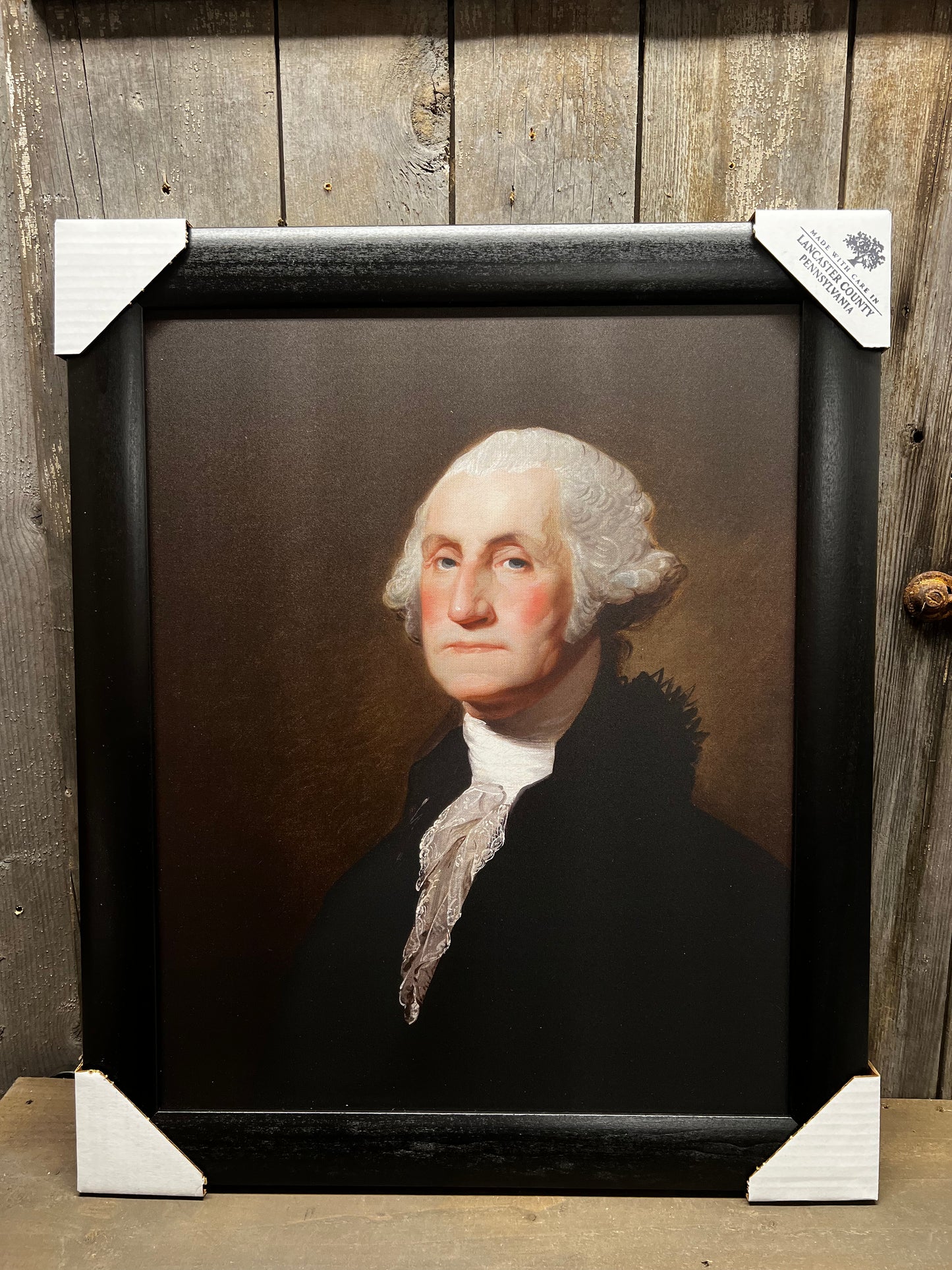 Framed Art, 16x20, GEORGE WASHINGTON