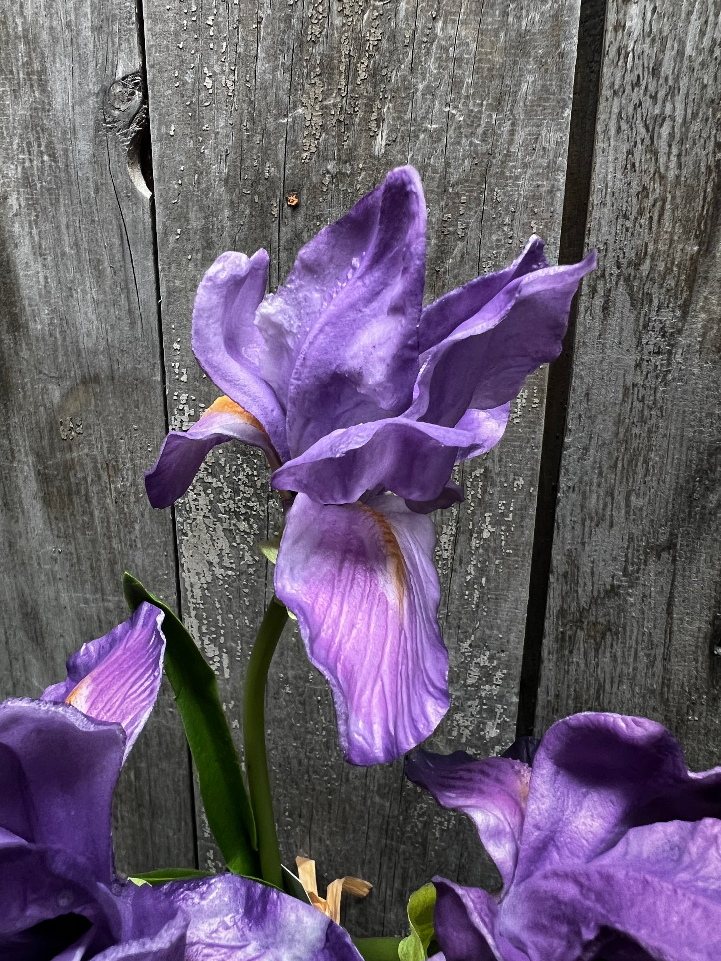 Iris Bouquet, 14.5", BLUE or PURPLE