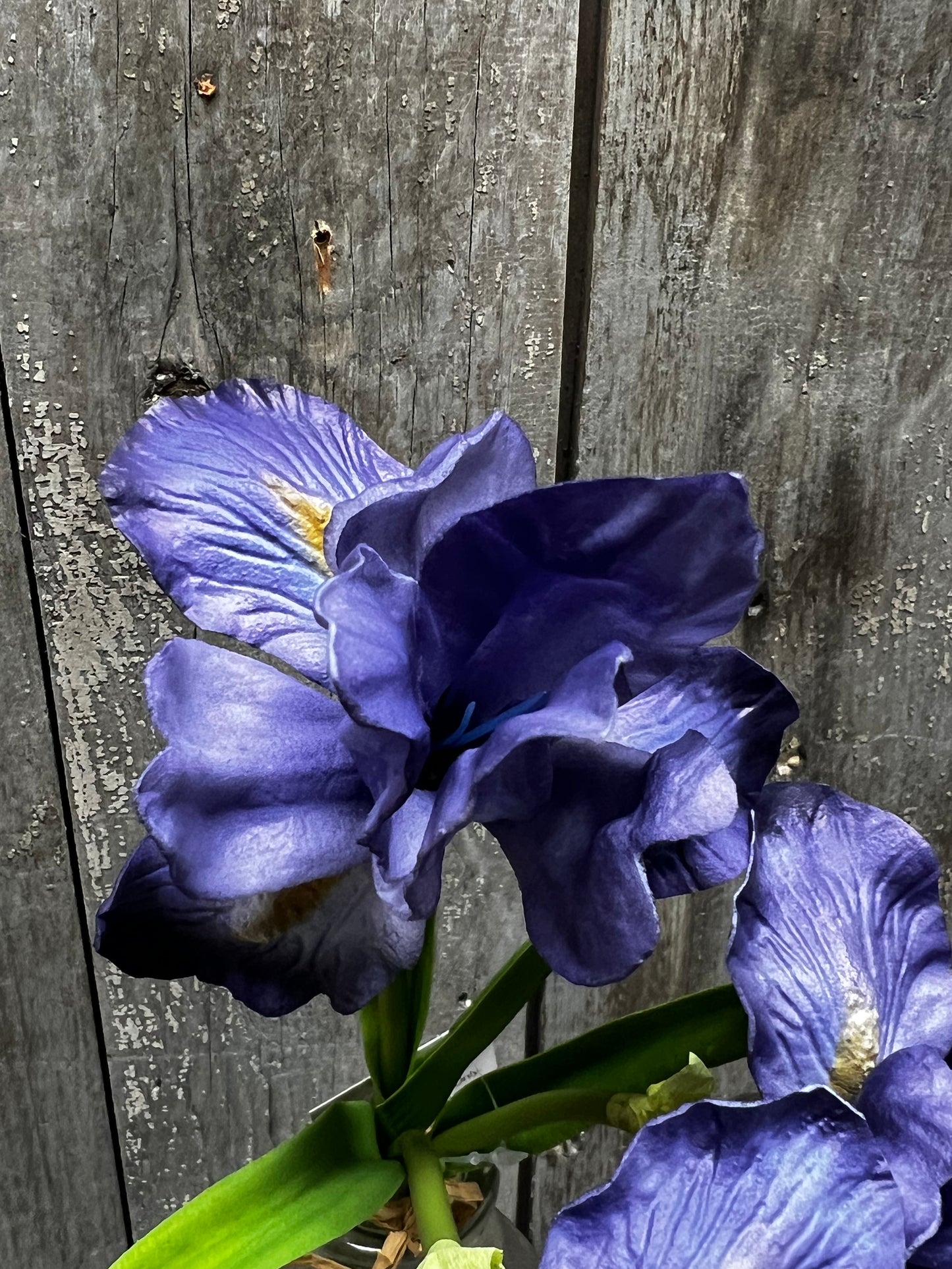 Iris Bouquet, 14.5", BLUE or PURPLE