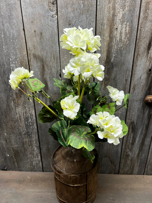 Bush, Geranium, 20", CREAMY WHITE