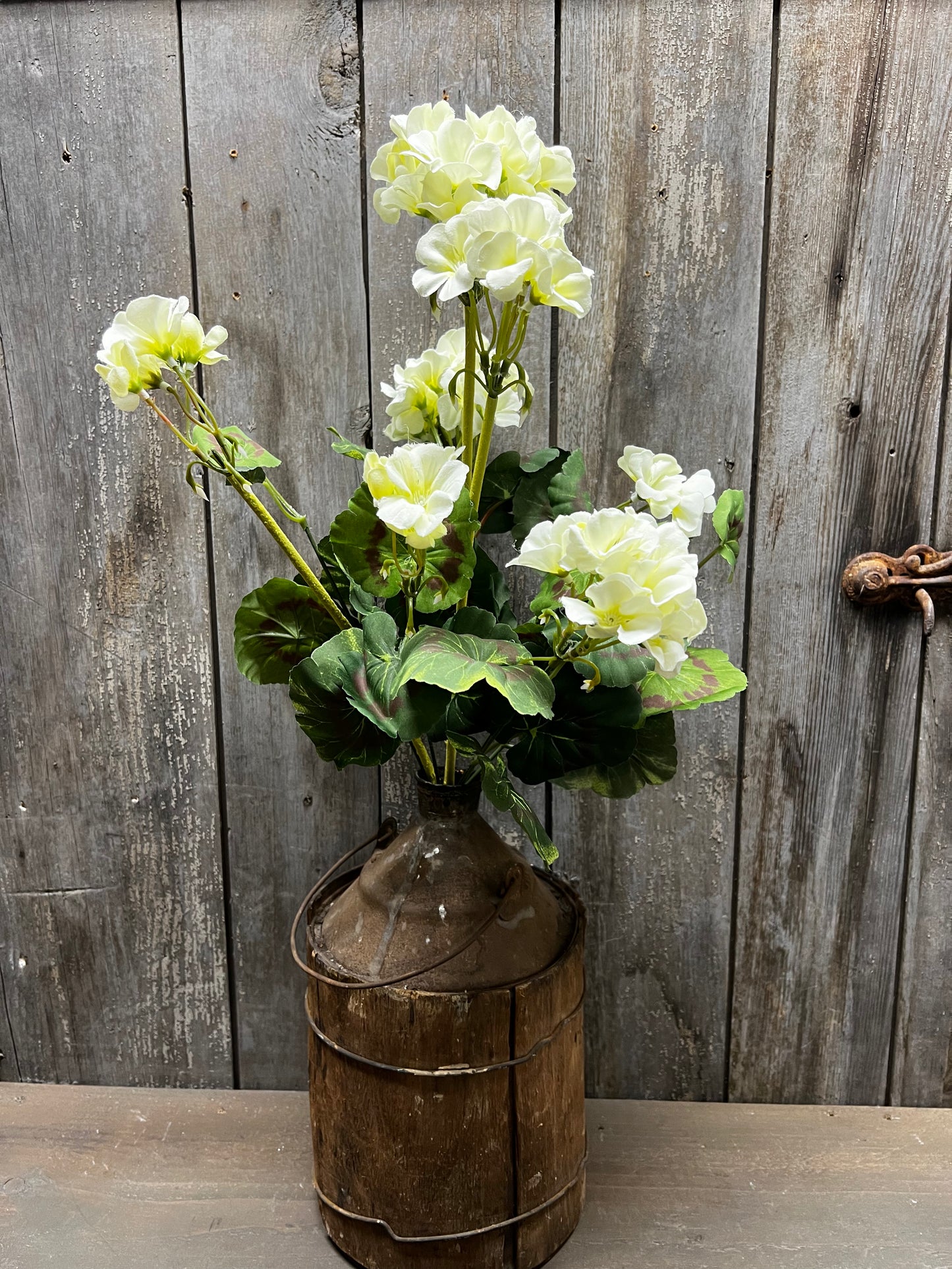 Bush, Geranium, 20", CREAMY WHITE