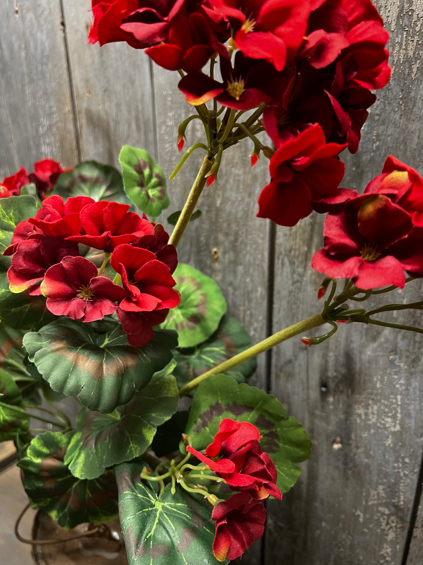 Bush, Geranium, 20", RED