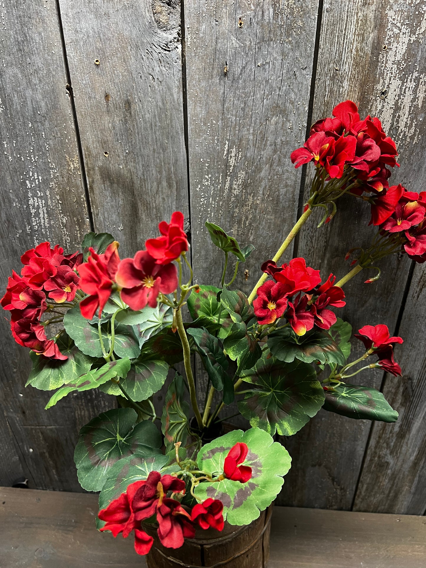 Bush, Geranium, 20", RED