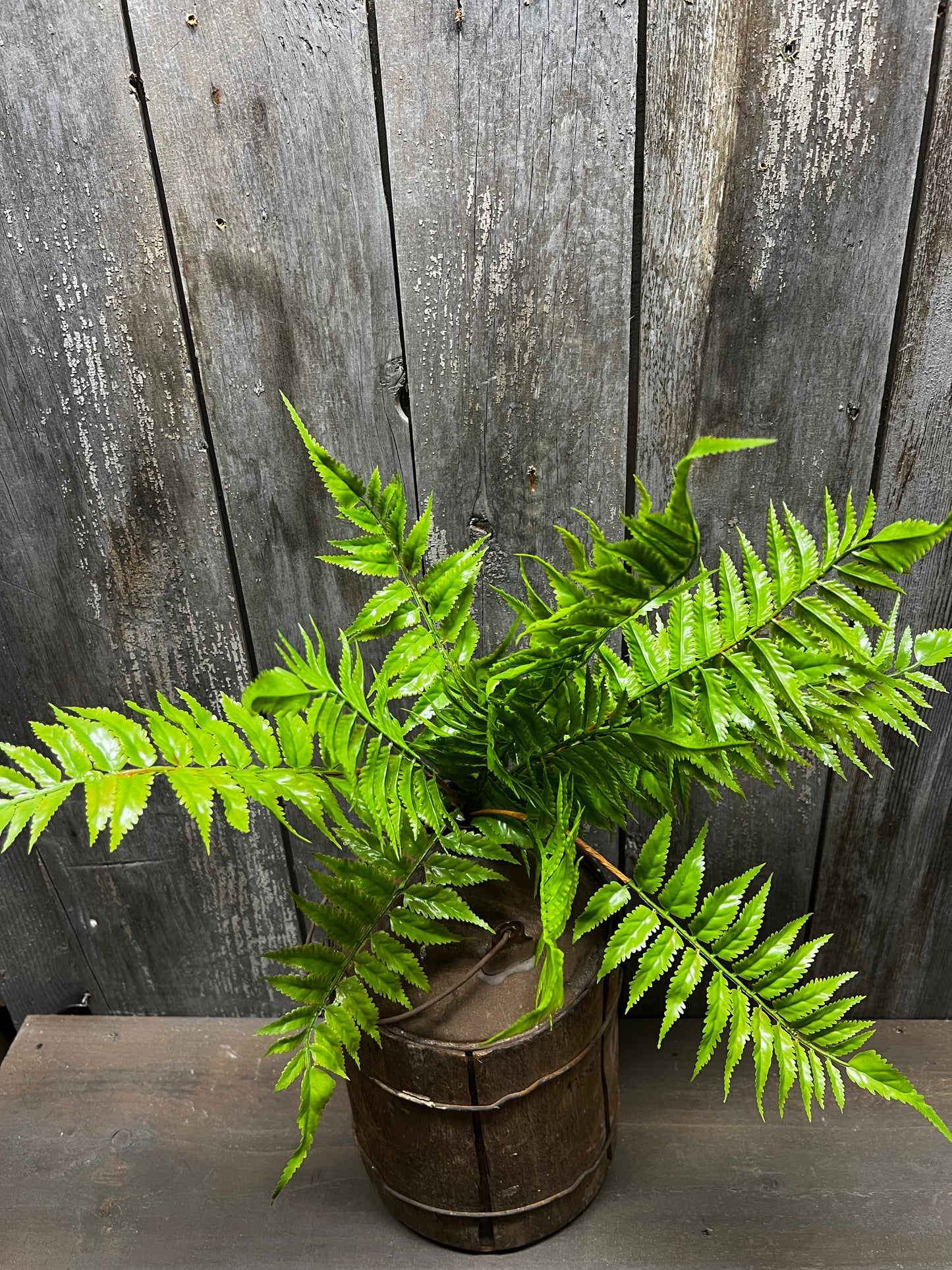 Bush, 17", FERN