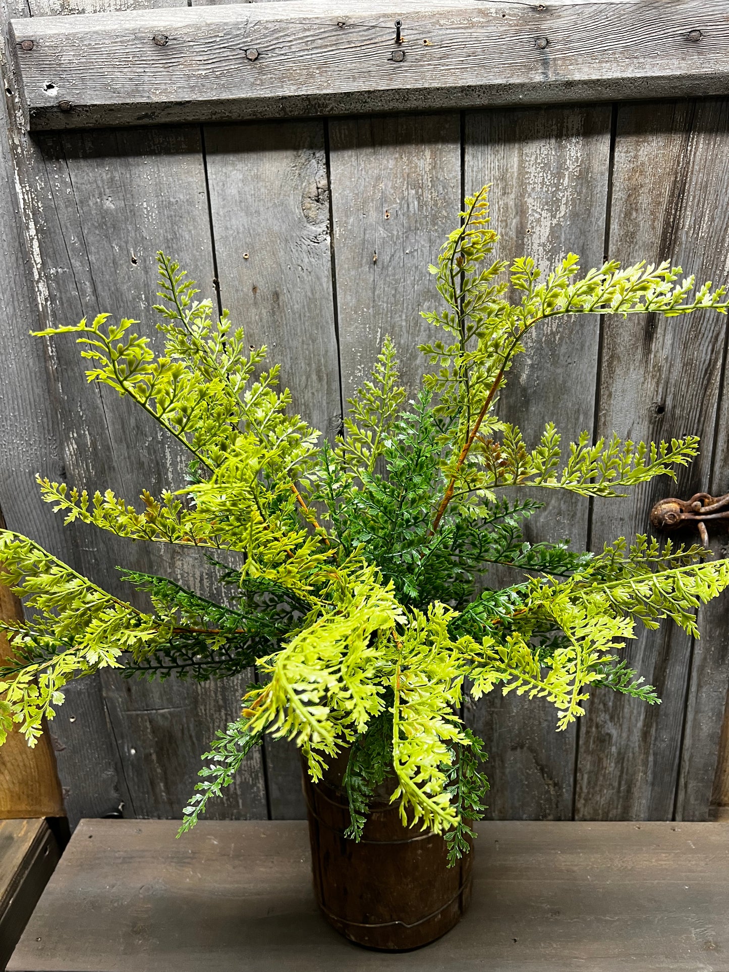 Bush, 26" FERN