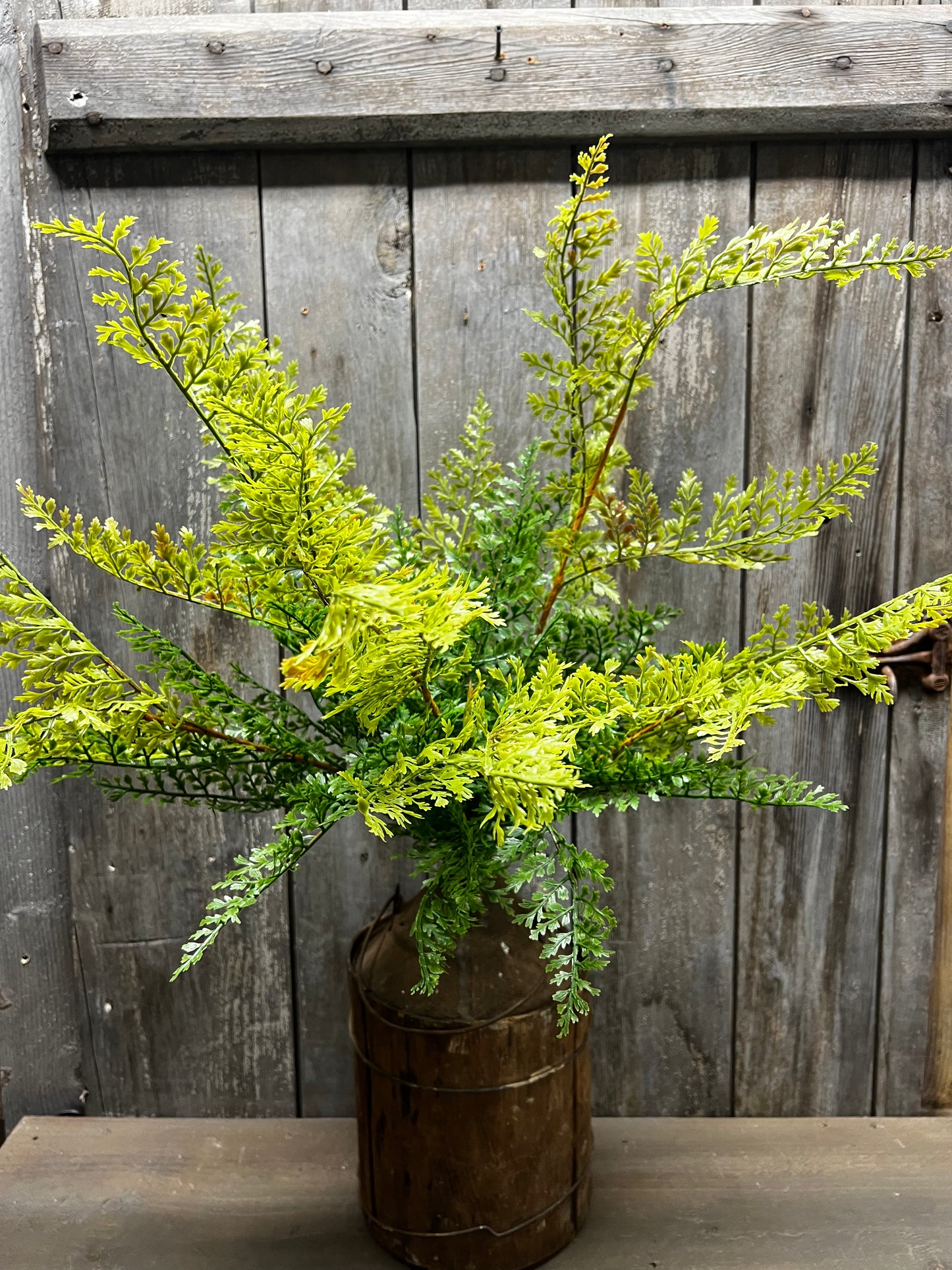 Bush, 26" FERN