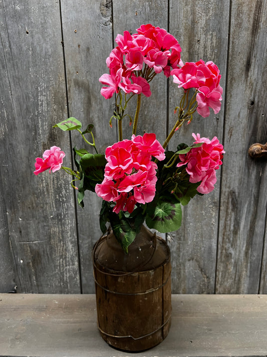 Bush, Geranium, 20", PINK