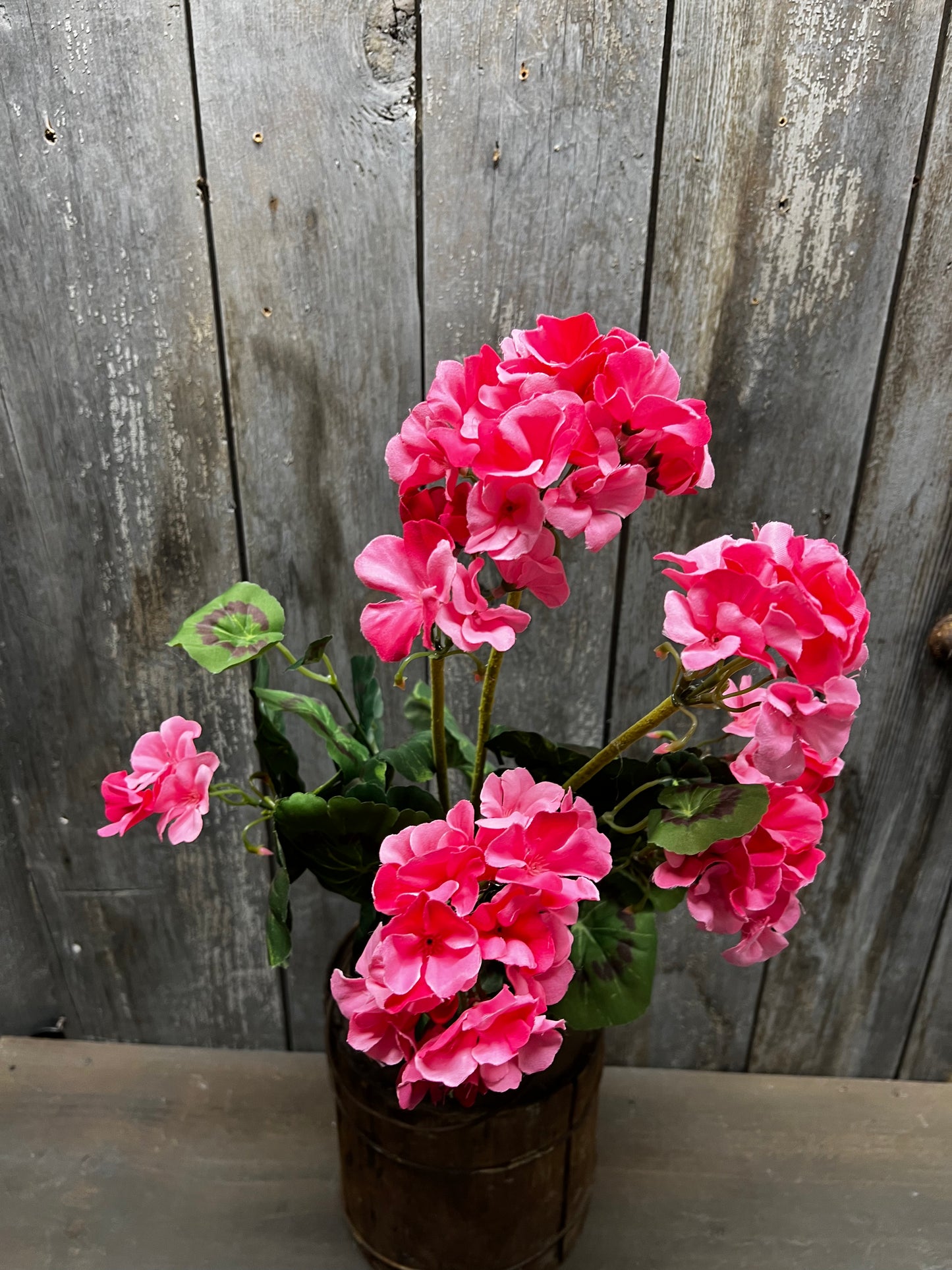 Bush, Geranium, 20", PINK