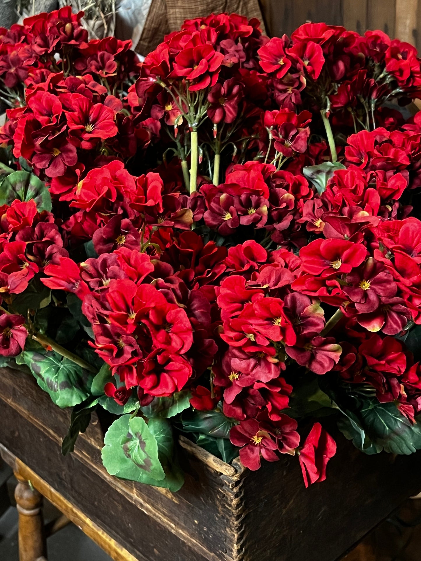 Bush, Geranium, 20", RED