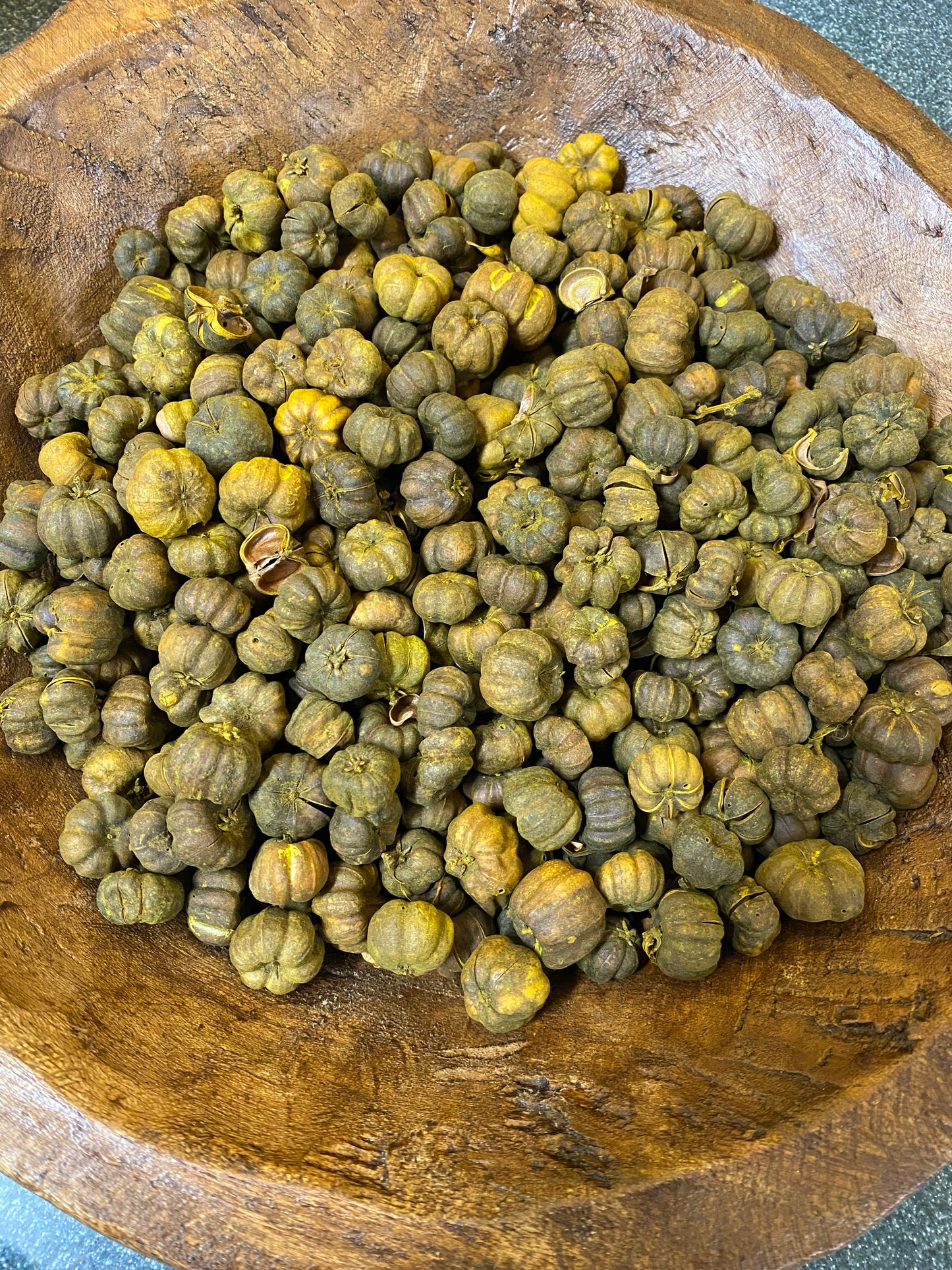 Putka Pods, PRIMITIVE, 4 Ounce