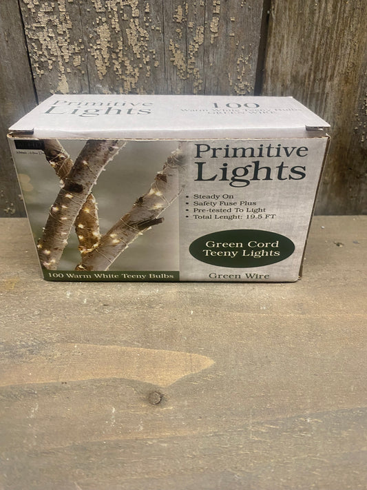 Teeny Bulbs, Green Wire, 100 Count, WARM WHITE