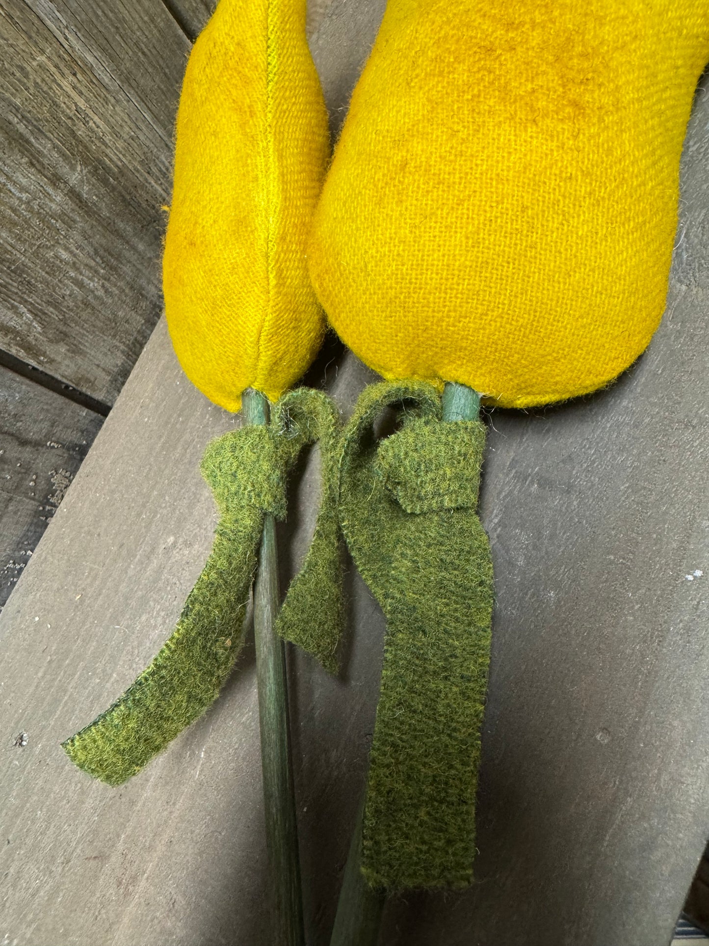 Tulips, Set/2, WOOL ASSORTED