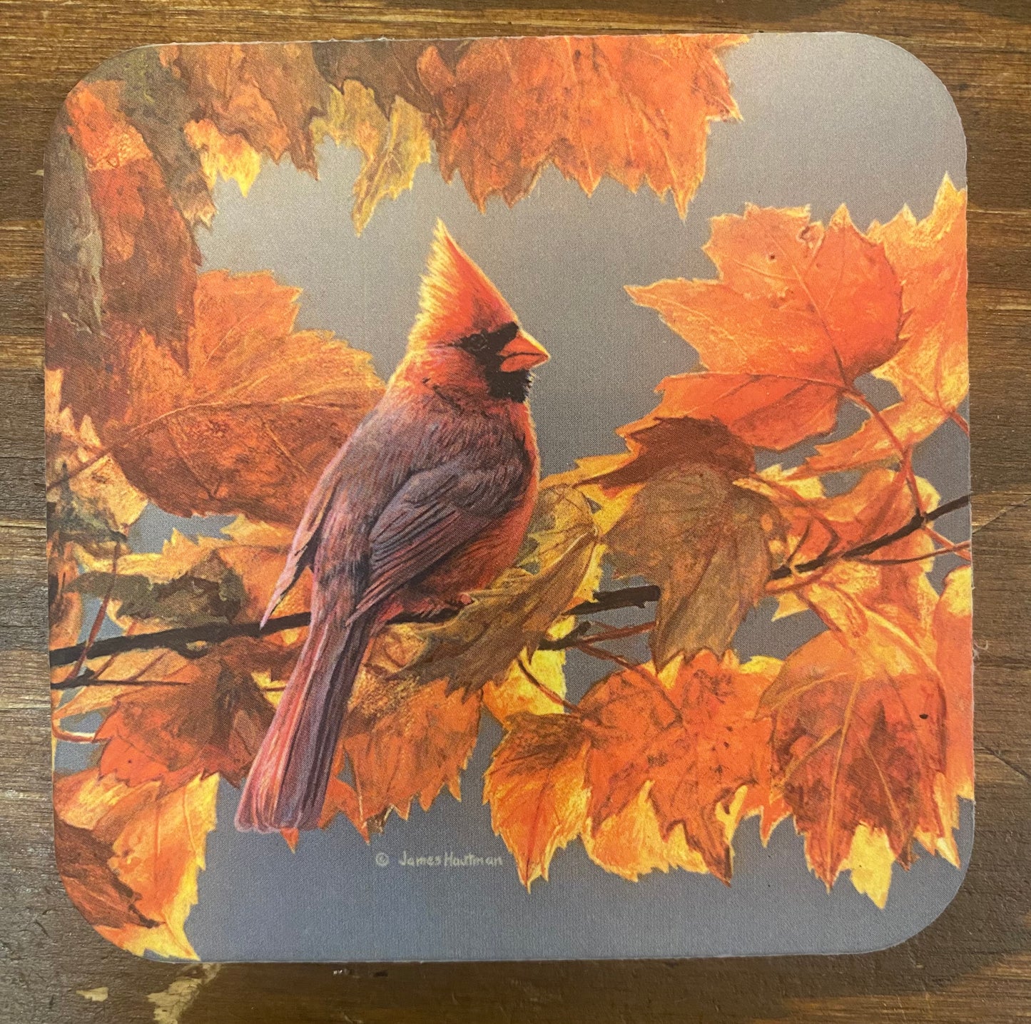 Coaster, CARDINAL & LEAVES