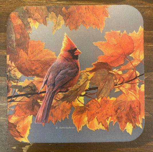 Coaster, CARDINAL & LEAVES