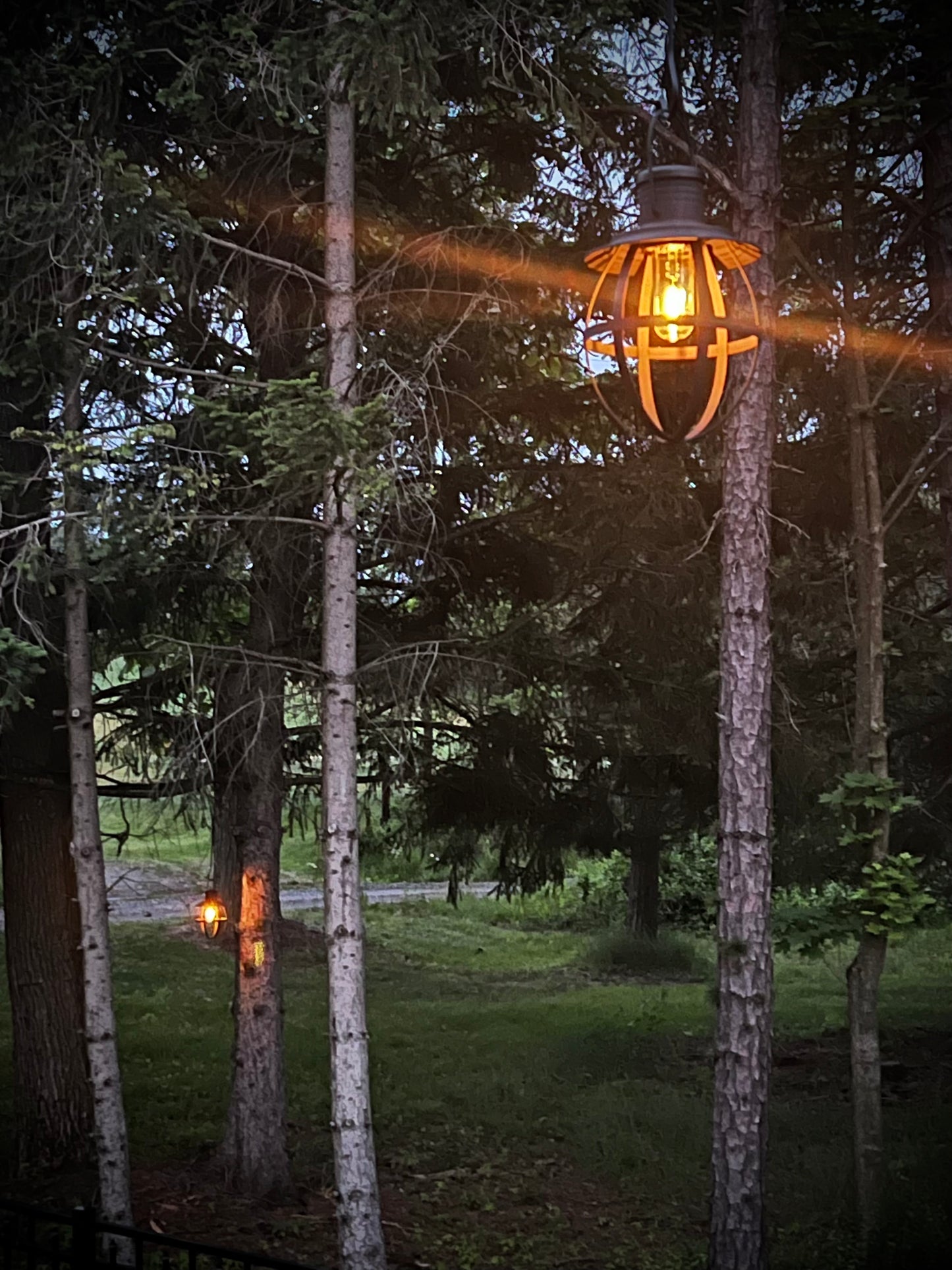 Hanging Lantern, Battery Operated, Weatherproof, BLACK or RUSTY BRONZE