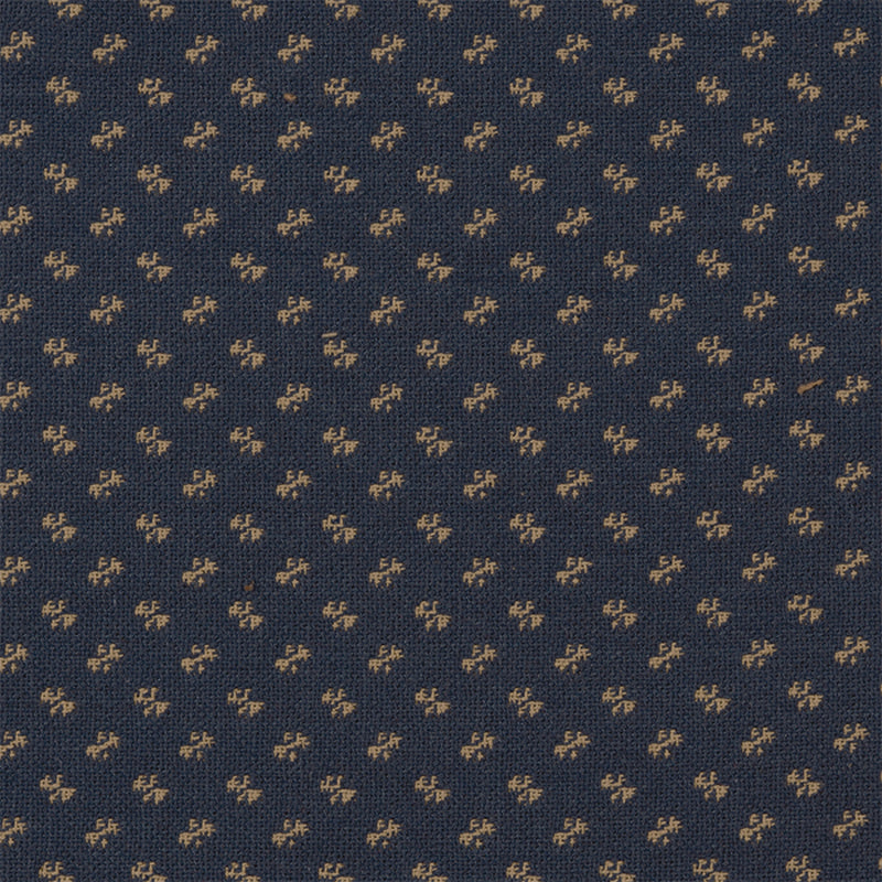 LITTLE BIT, Ecru/Navy
