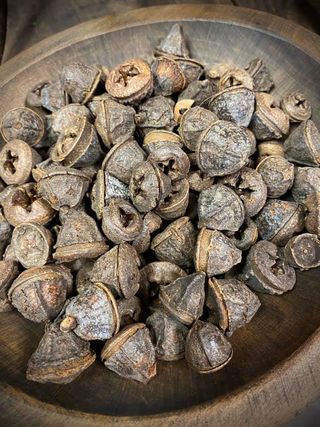 Eucalyptus Pods, 10 ounce