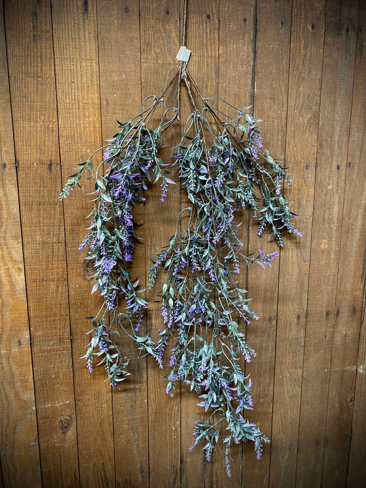 Lavender Drop, Sheffield