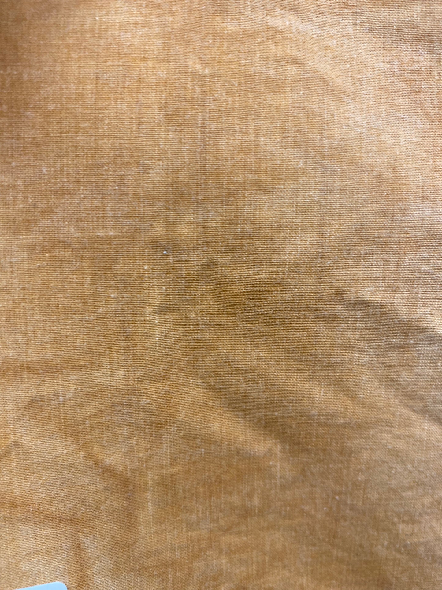 "Aged" Muslin...SQUASH