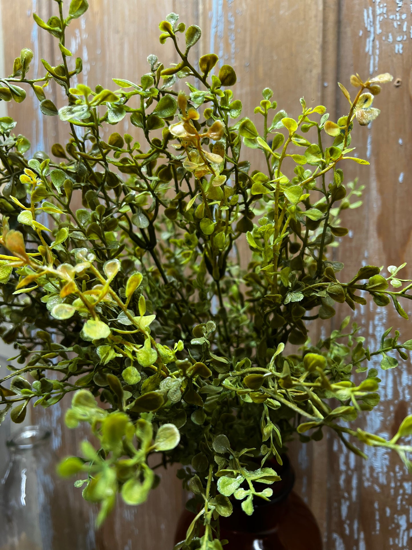 Bush, 21”, Baby's Grass, NEW GREEN