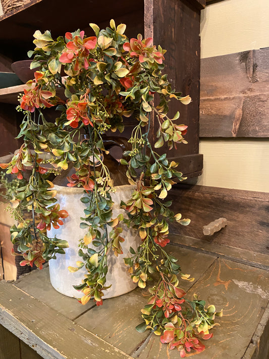 Hanging Bush, 32”, PERFUME TREE LEAF