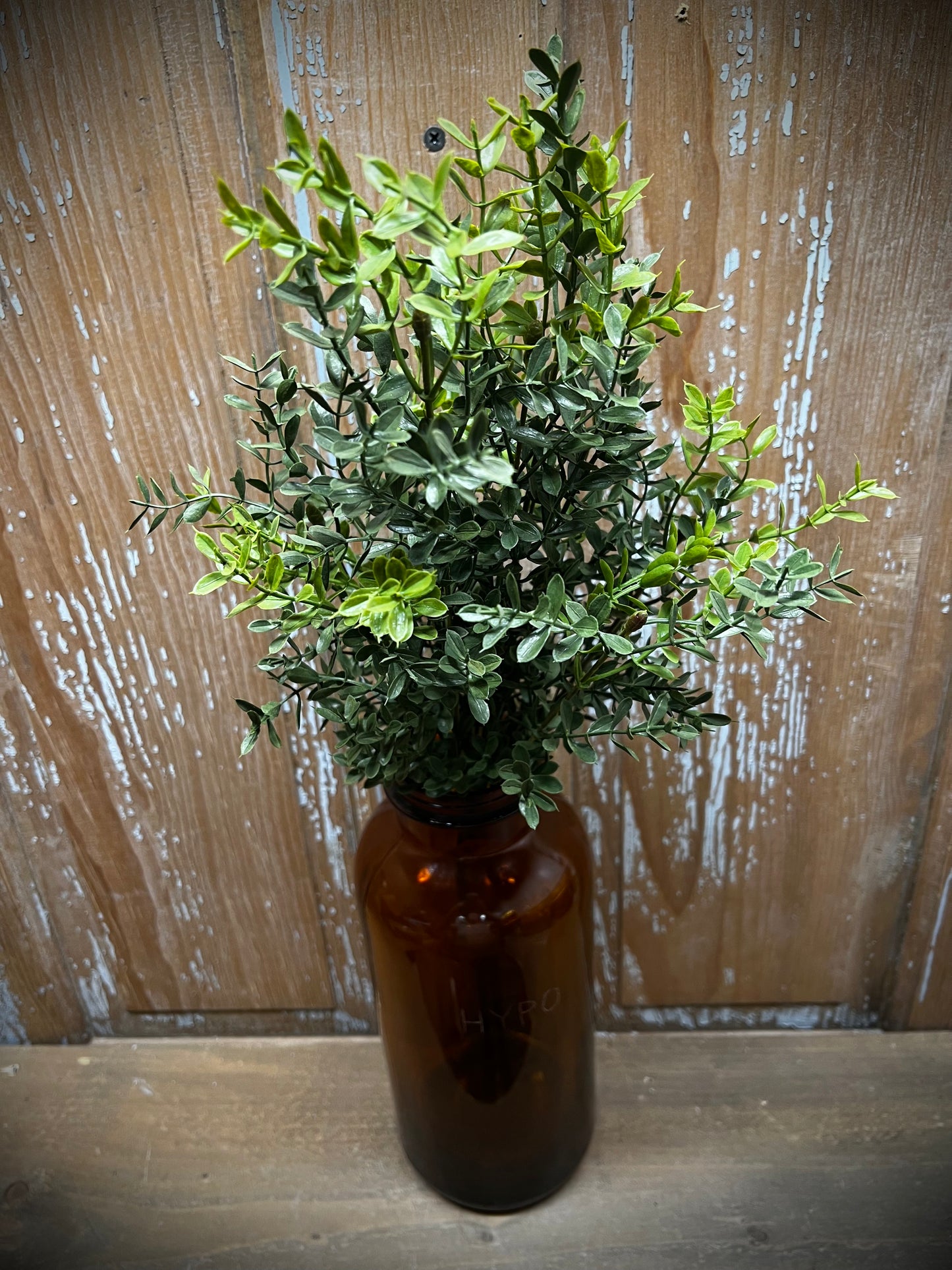 Bush, 18", NEW ENGLAND BOXWOOD