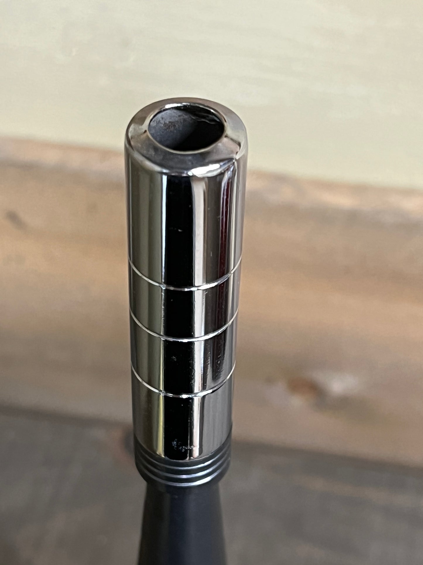 Fog Horn w/ Chrome Reed, 13.5"