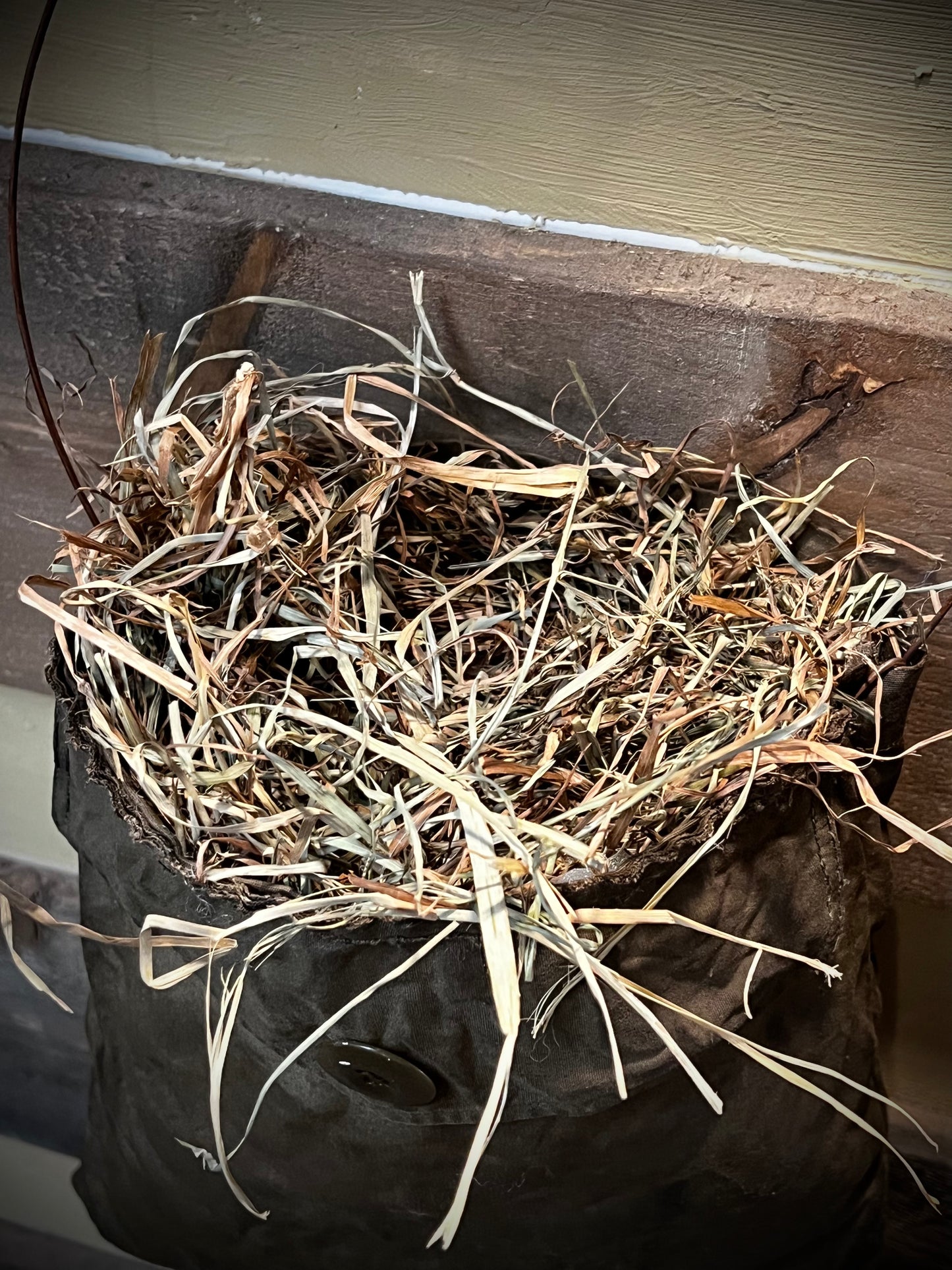 Hanging Pocket w/ Grass, OFFICER’S POCKET