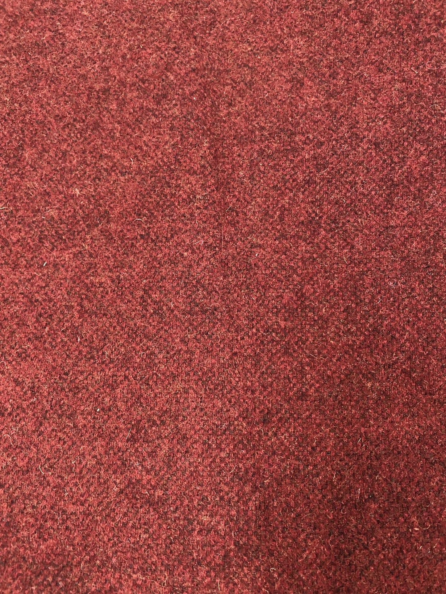 CRANBERRY RELISH, Wool