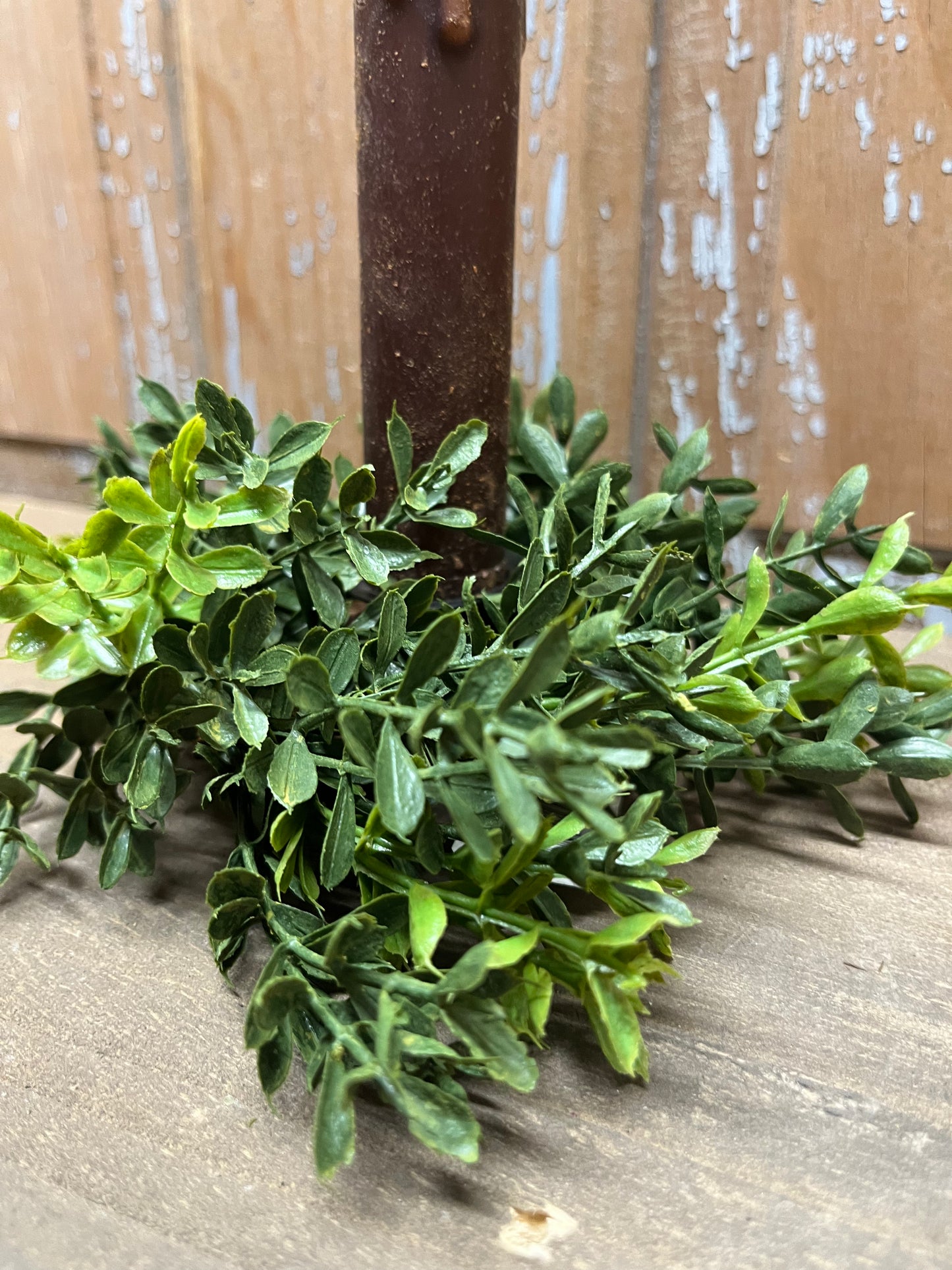Candle Ring, 2", NEW ENGLAND BOXWOOD