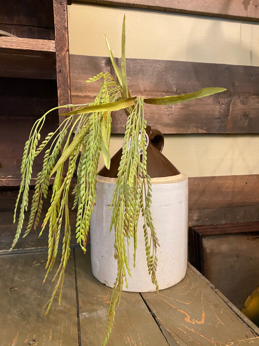 Hanging Bush, 35", WHEAT