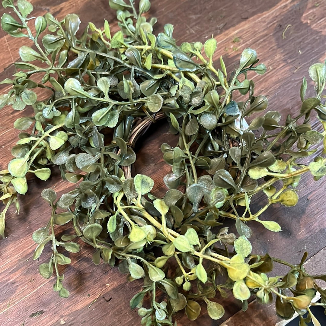 Candle Ring, 9”, Baby's Grass, NEW GREEN