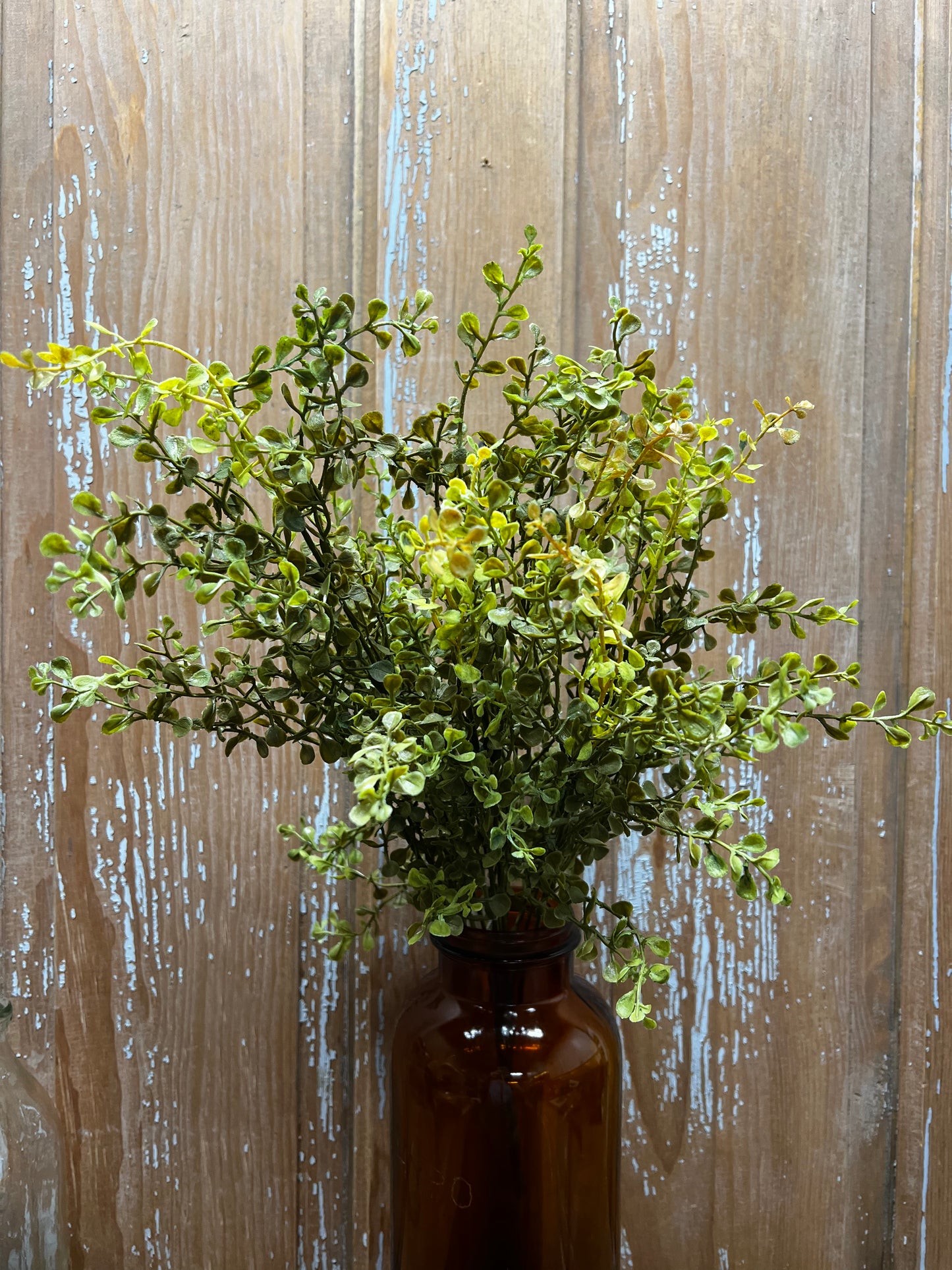 Bush, 21”, Baby's Grass, NEW GREEN