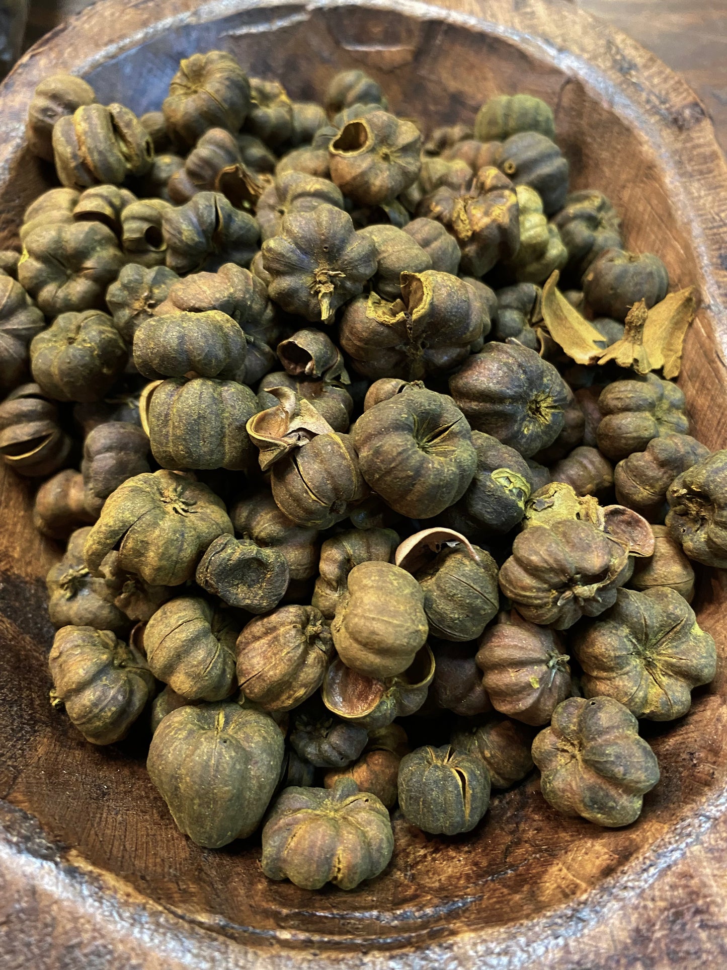 Putka Pods, PRIMITIVE, 7 Ounce