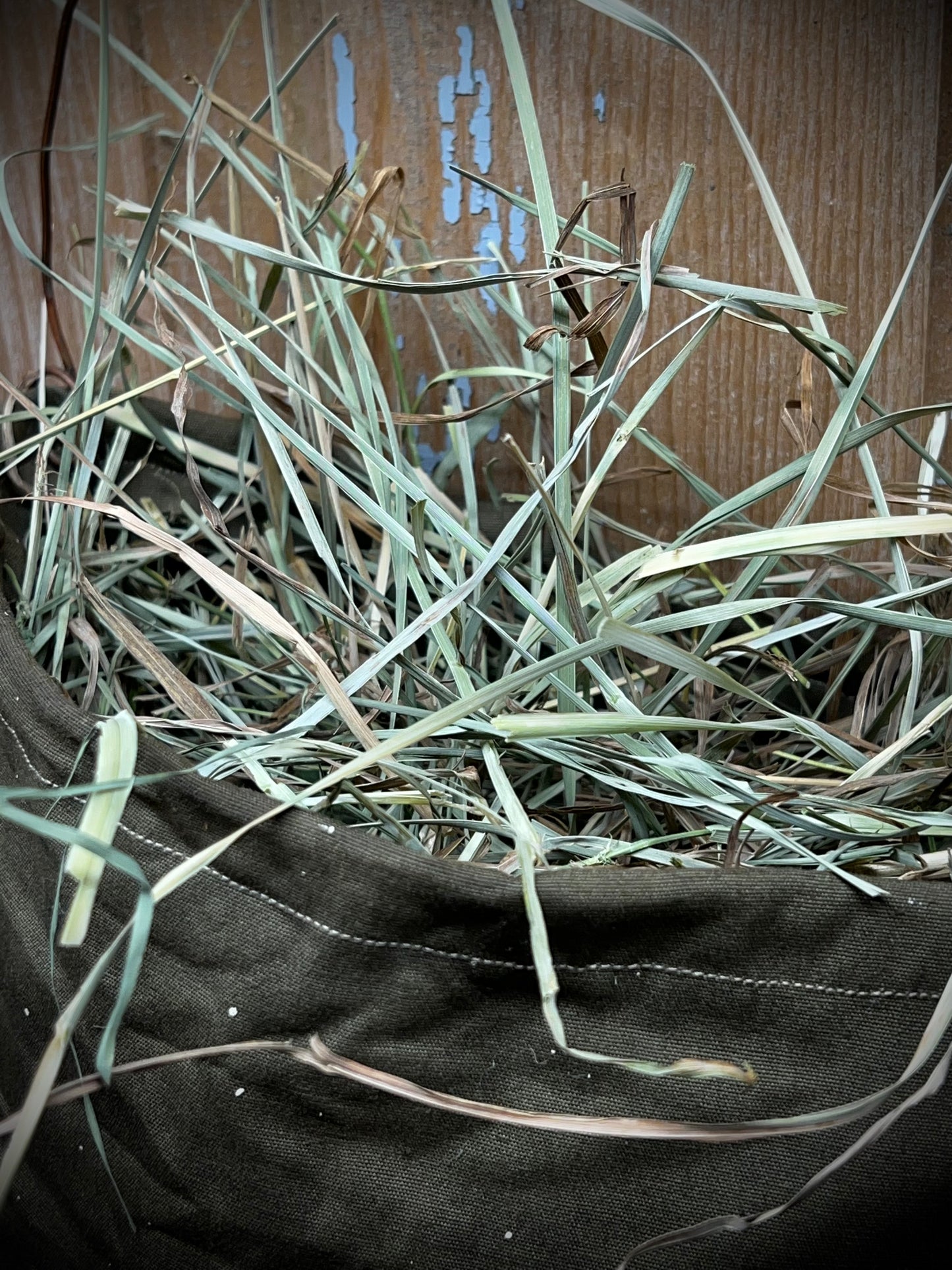 Hanging Pocket w/ Grass, OFFICER’S SLEEVE