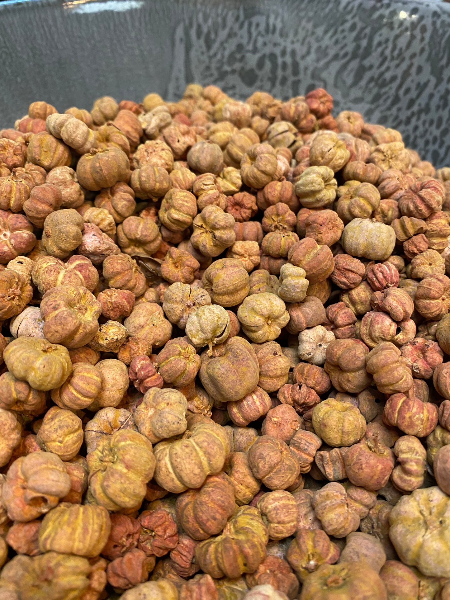Putka Pods, ORANGE, 4.5 Ounce