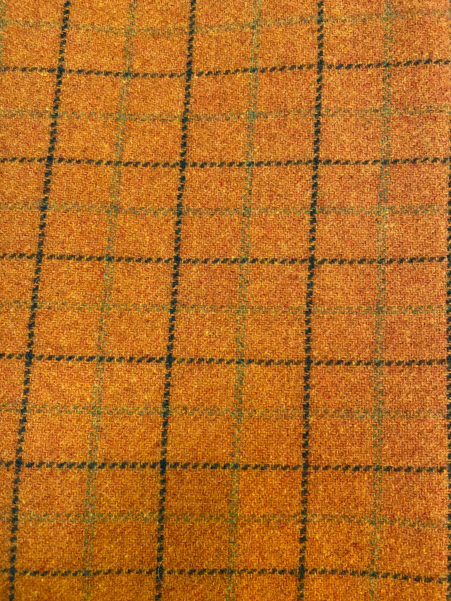 PUMPKIN PATCH, Wool