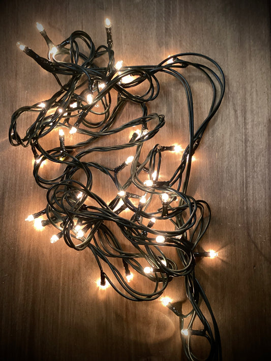 Teeny Bulbs, Green Wire, 50 Count, WARM WHITE