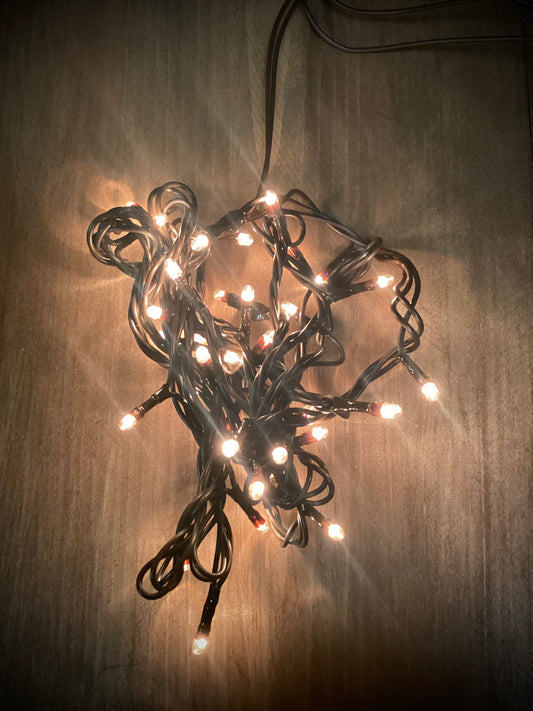 Teeny Bulbs, Brown Wire, 35 Count, WARM WHITE