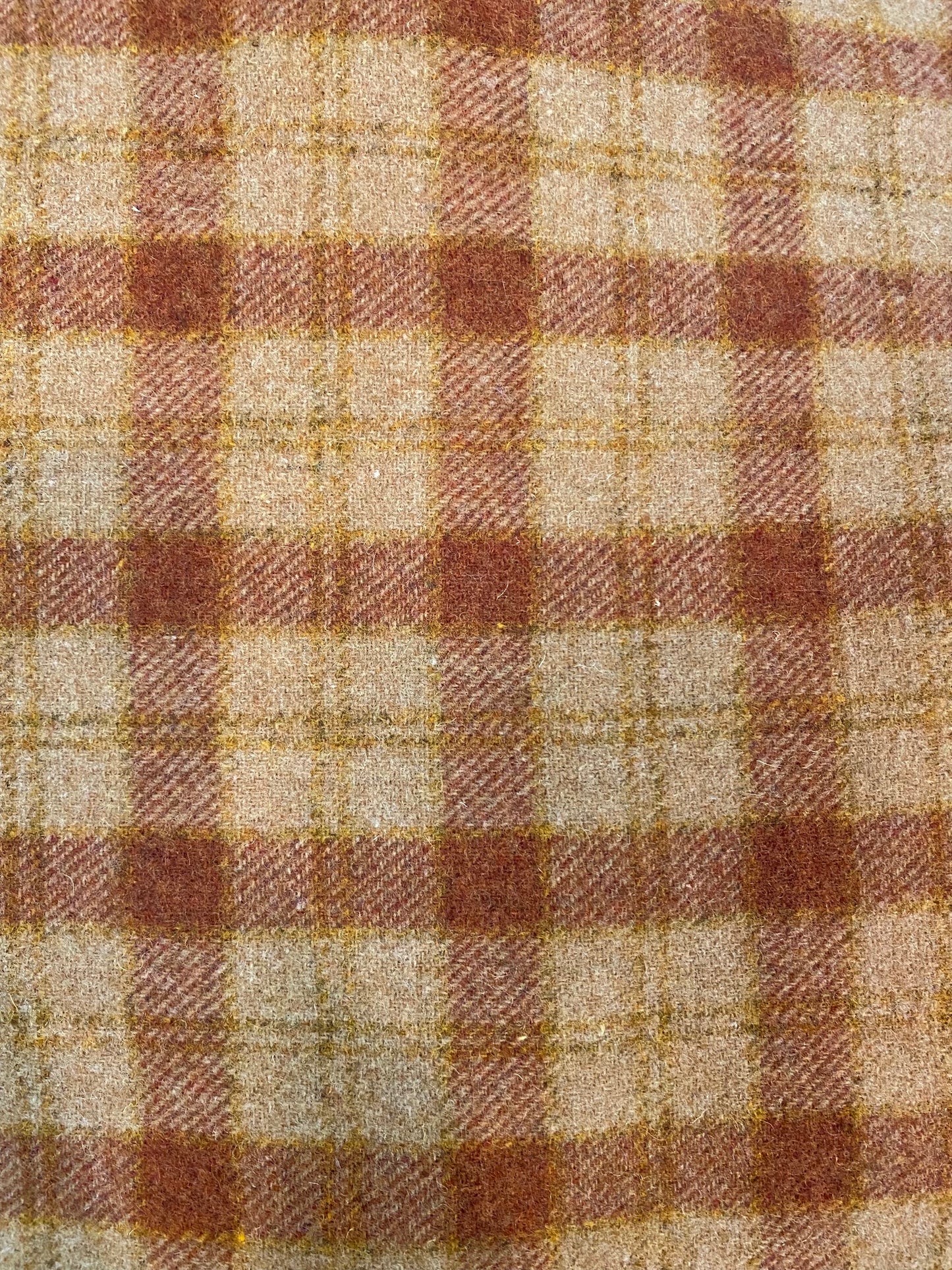 GINGER SNAP, Wool