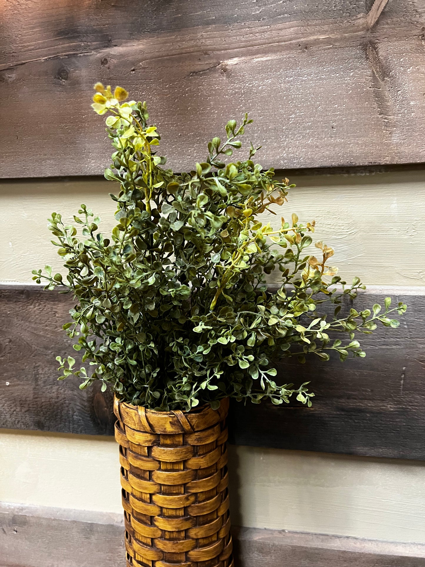 Bush, 21”, Baby's Grass, NEW GREEN