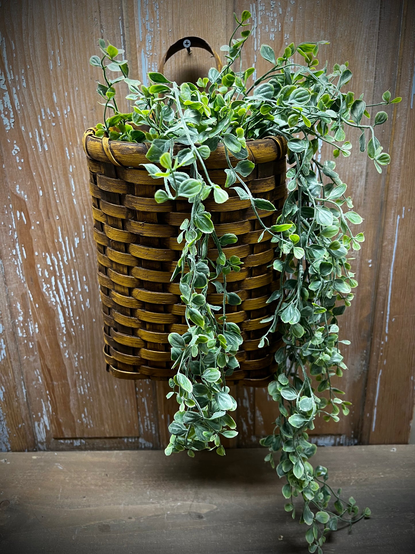 Hanging Bush, 34", SERAPH VINE