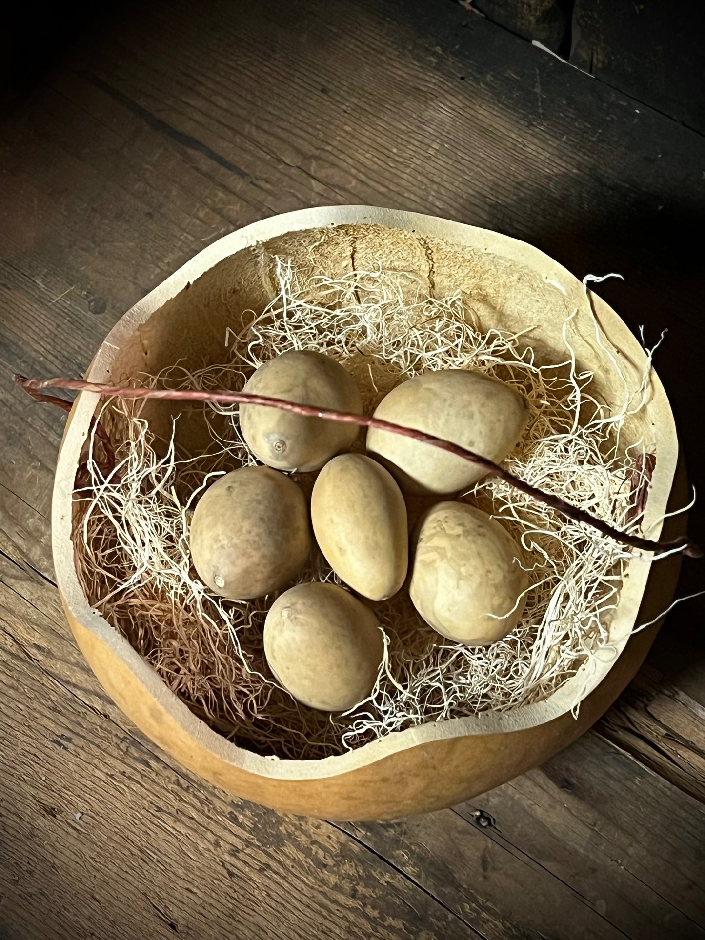 Gourd, Assorted, EGG
